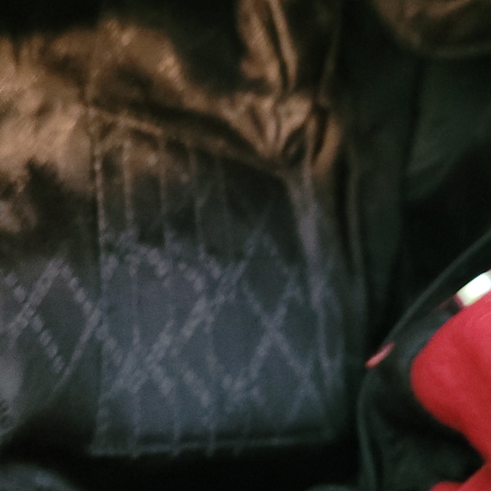 BCBG MaxAzria Bag - Picture 6 of 7